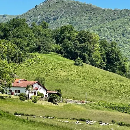 Couette-café Ameztoia Xve Siècle D'hôtes Navarraises
