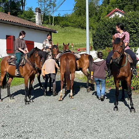 Ameztoia Xve Siecle D'hotes Navarraises Nocleg ze śniadaniem